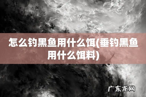 垂钓黑鱼用什么饵料 怎么钓黑鱼用什么饵