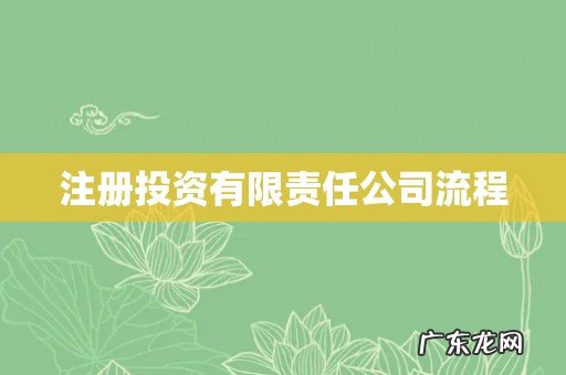 注册投资有限责任公司流程