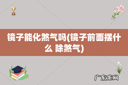 镜子前面摆什么 除煞气 镜子能化煞气吗