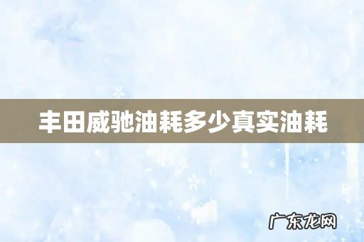 丰田威驰油耗多少真实油耗