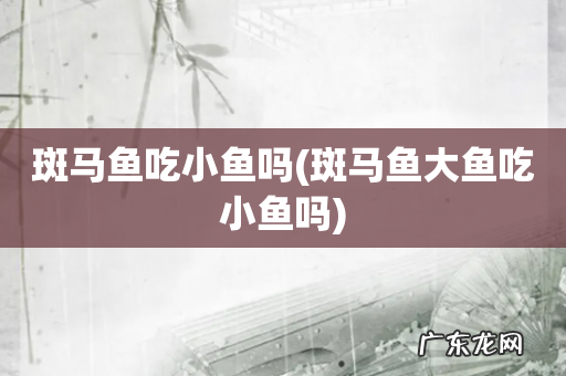 斑马鱼大鱼吃小鱼吗 斑马鱼吃小鱼吗