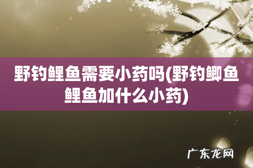 野钓鲫鱼鲤鱼加什么小药 野钓鲤鱼需要小药吗