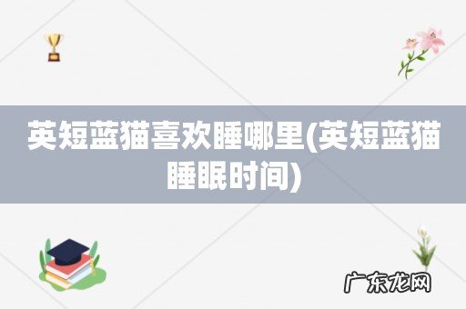 英短蓝猫睡眠时间 英短蓝猫喜欢睡哪里
