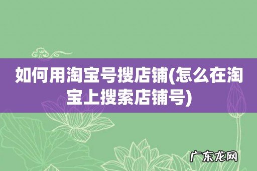 怎么在淘宝上搜索店铺号 如何用淘宝号搜店铺