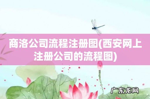 西安网上注册公司的流程图 商洛公司流程注册图
