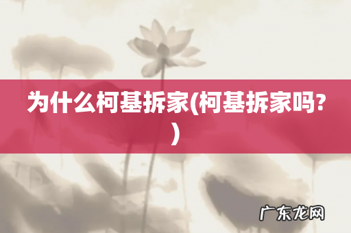 柯基拆家吗? 为什么柯基拆家