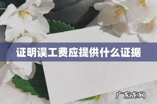 证明误工费应提供什么证据