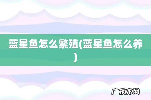 蓝星鱼怎么养 蓝星鱼怎么繁殖