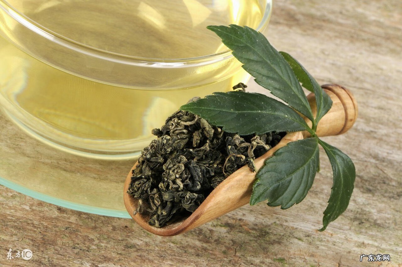 绞股蓝有什么用途 绞股蓝的作用?