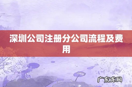 深圳公司注册分公司流程及费用