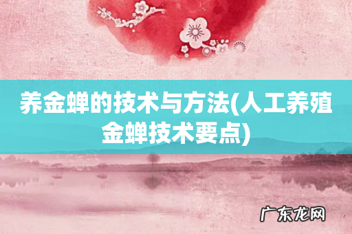 人工养殖金蝉技术要点 养金蝉的技术与方法
