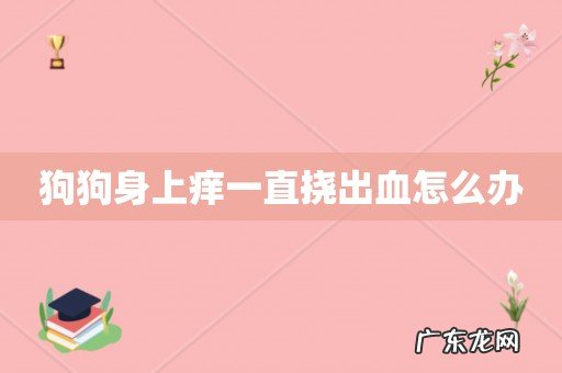 狗狗身上痒一直挠出血怎么办