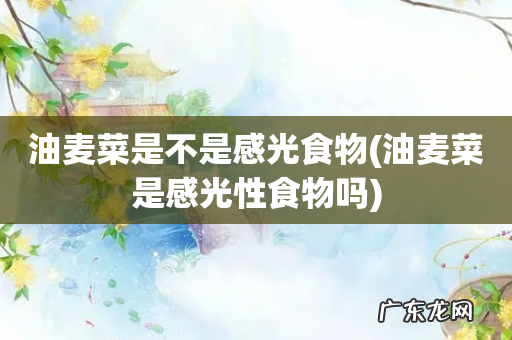 油麦菜是感光性食物吗 油麦菜是不是感光食物