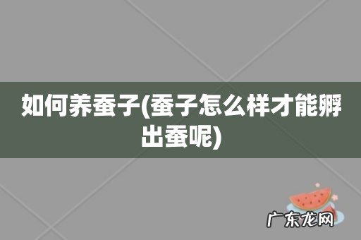 蚕子怎么样才能孵出蚕呢 如何养蚕子