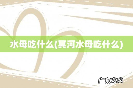 冥河水母吃什么 水母吃什么