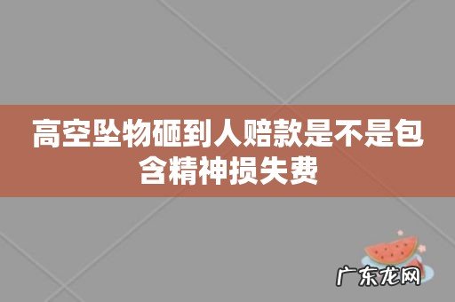 高空坠物砸到人赔款是不是包含精神损失费
