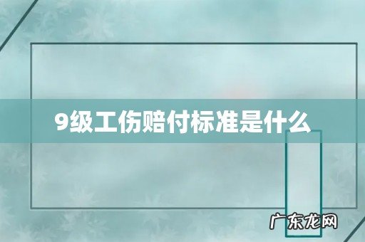 9级工伤赔付标准是什么