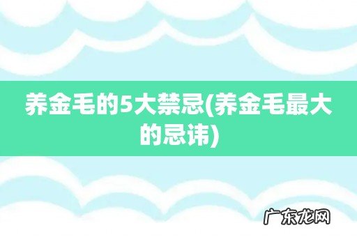 养金毛最大的忌讳 养金毛的5大禁忌