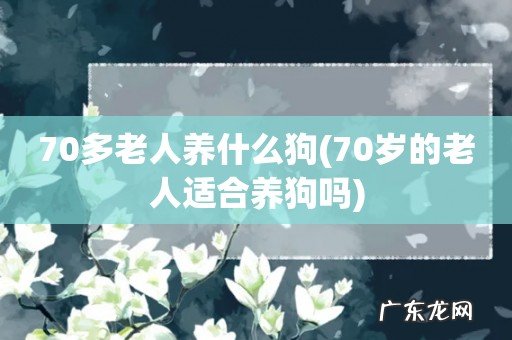 70岁的老人适合养狗吗 70多老人养什么狗