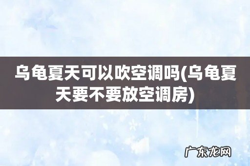 乌龟夏天要不要放空调房 乌龟夏天可以吹空调吗