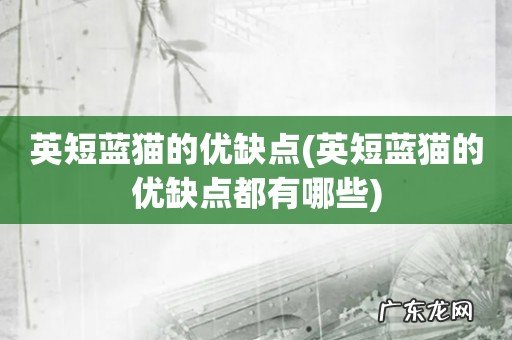 英短蓝猫的优缺点都有哪些 英短蓝猫的优缺点