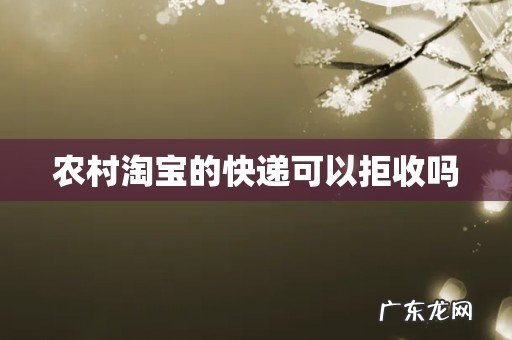 农村淘宝的快递可以拒收吗