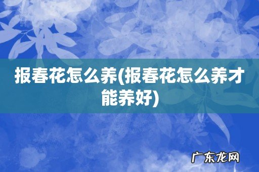 报春花怎么养才能养好 报春花怎么养
