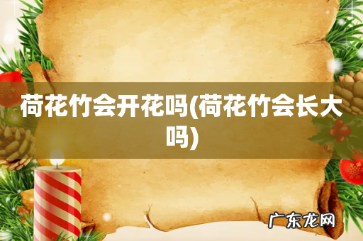 荷花竹会长大吗 荷花竹会开花吗