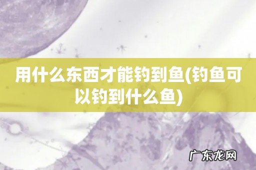 钓鱼可以钓到什么鱼 用什么东西才能钓到鱼