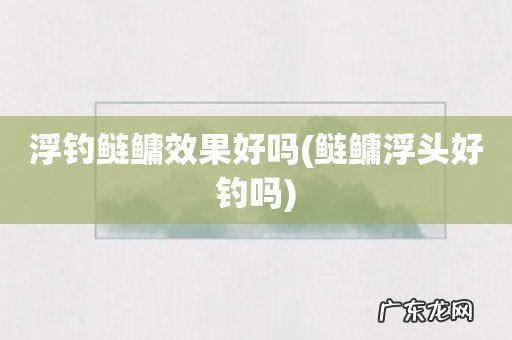 鲢鳙浮头好钓吗 浮钓鲢鳙效果好吗