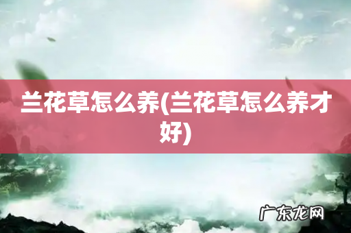 兰花草怎么养才好 兰花草怎么养