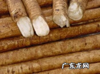 牛蒡的功效及用途 牛蒡的作用?