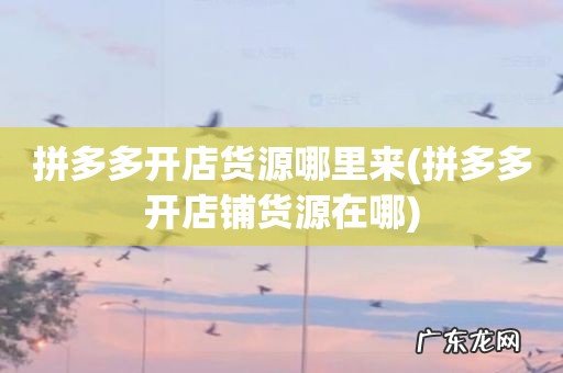 拼多多开店铺货源在哪 拼多多开店货源哪里来