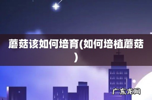 如何培植蘑菇 蘑菇该如何培育