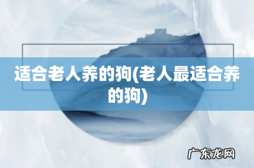 老人最适合养的狗 适合老人养的狗