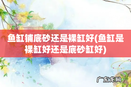 鱼缸是裸缸好还是底砂缸好 鱼缸铺底砂还是裸缸好