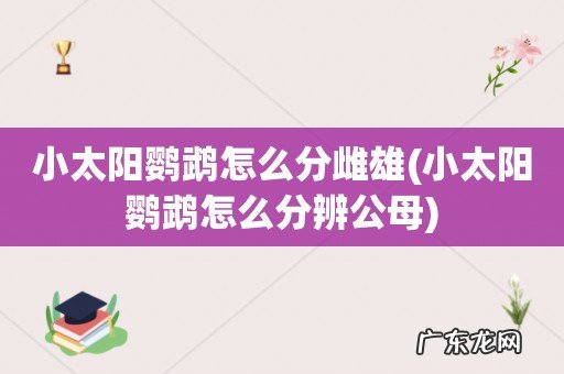 小太阳鹦鹉怎么分辨公母 小太阳鹦鹉怎么分雌雄