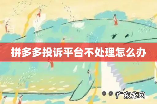 拼多多投诉平台不处理怎么办