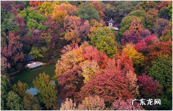 南京十大风水宝地 南京栖霞山是风水宝地吗