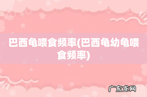 巴西龟幼龟喂食频率 巴西龟喂食频率