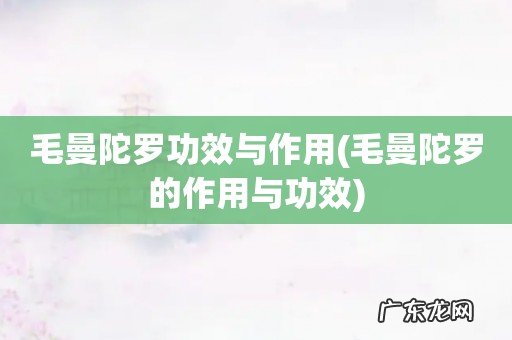 毛曼陀罗的作用与功效 毛曼陀罗功效与作用