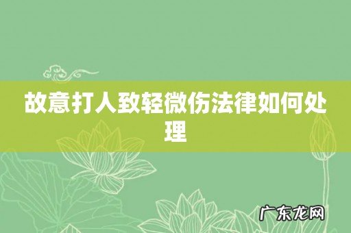 故意打人致轻微伤法律如何处理