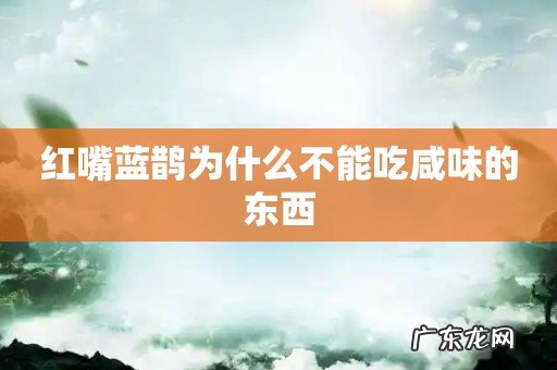 红嘴蓝鹊为什么不能吃咸味的东西