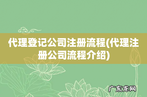 代理注册公司流程介绍 代理登记公司注册流程