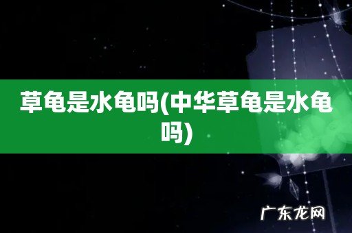 中华草龟是水龟吗 草龟是水龟吗