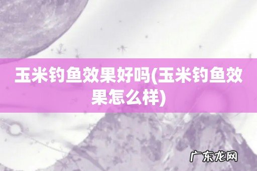 玉米钓鱼效果怎么样 玉米钓鱼效果好吗