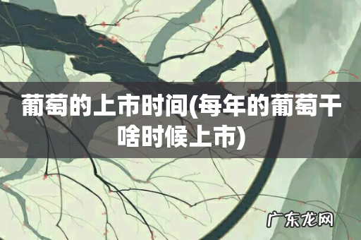 每年的葡萄干啥时候上市 葡萄的上市时间