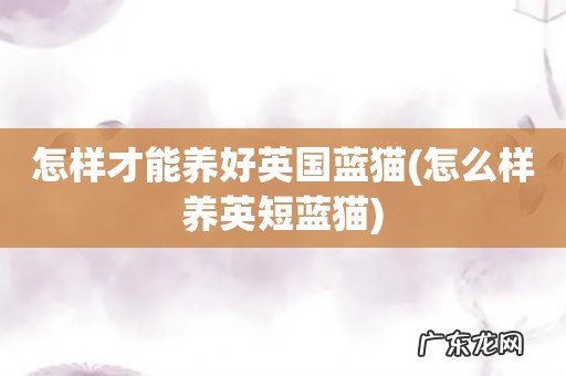 怎么样养英短蓝猫 怎样才能养好英国蓝猫