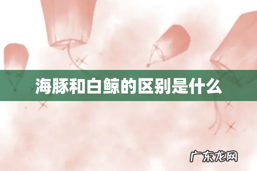 海豚和白鲸的区别是什么