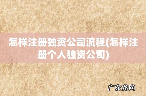 怎样注册个人独资公司 怎样注册独资公司流程